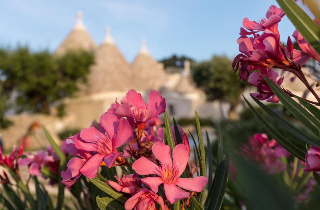 Appartement Trulli Angela à Locorotondo Extérieur photo